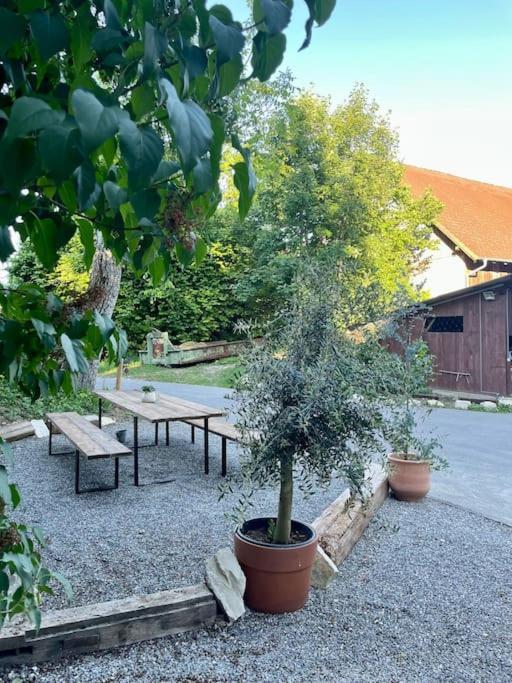 Zauberhafte Ferienscheune Im Hofgut Alte Oelmuehle Engen Exterior photo